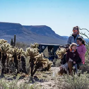 Desert Wolf Tours offers exciting ATV rental guided tours, perfect for families looking to explore the beauty of the Arizona desert. Make your next adventure one of the top things to do with kids in Phoenix!