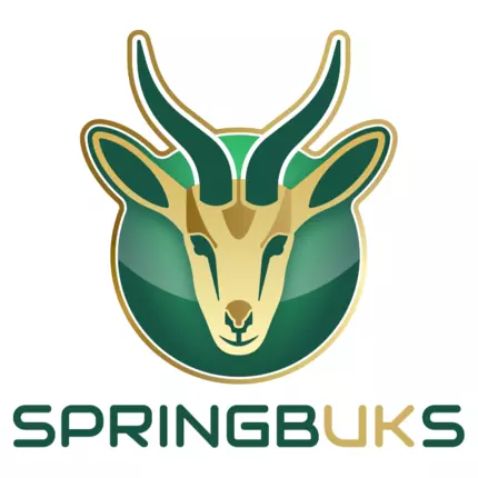 Logo fra Springbuks Group Services Ltd