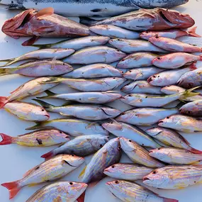 Bild von Smokin Hooks Fishing Charters