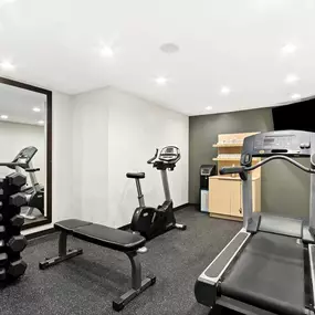 Health club  fitness center  gym