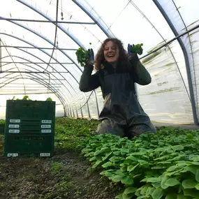 Lissy bei der Postelein-Ernte