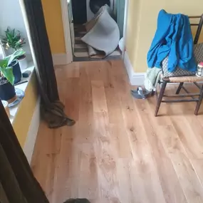 Bild von Lyle Carpentry