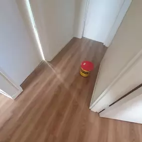 Bild von Lyle Carpentry