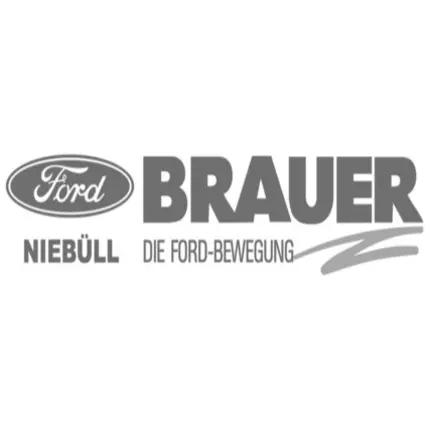 Logo from Hubertus Brauer GmbH