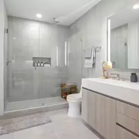 Spa-inspired bathroom with a glass-enclosed rainfall shower and sleek modern finishes.