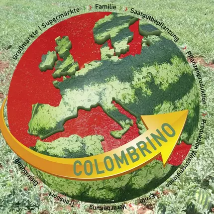 Logo van Colombrino Group GmbH