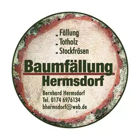 Bild von Bernhard Hermsdorf Baumfällungen