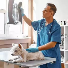 Bild von Paws 'n' Rec - Grace
