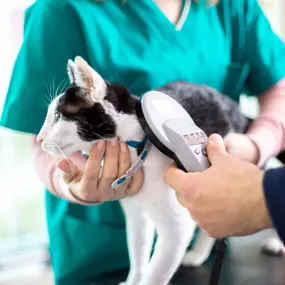 Bild von Paws 'n' Rec - Grace