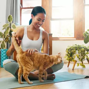 Bild von Paws 'n' Rec - Pearl