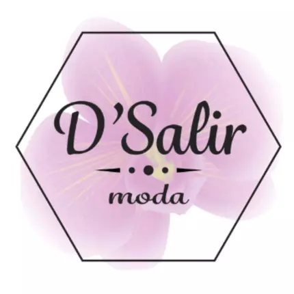 Logo van D'Salir.