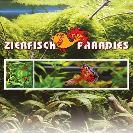 Logo van Zierfisch Paradies