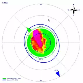 Bild von South Coast Tree Surveys