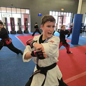 Bild von Zanshin American Karate and Kenpo