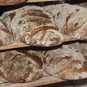 Lokaal biologisch boerenbrood