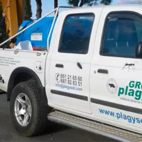 grupo-plagysol-control-de-plagas.png