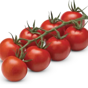 De lekkerste biologische tomaten