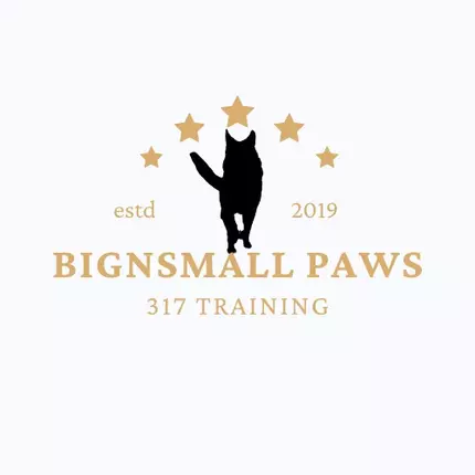 Logótipo de Big N Small Paws 317