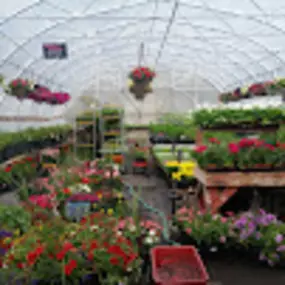 Bild von Northern Flowers Garden Center/ Plant Man