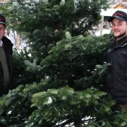 Logo van Weihnachtsbäume Holstein KG - Weihnachtsbaum Großhandel