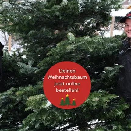 Λογότυπο από Weihnachtsbaum Onlineshop - Dein Weihnachtsbaum DE