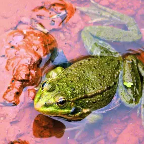 Bild von ETS BIOSTART