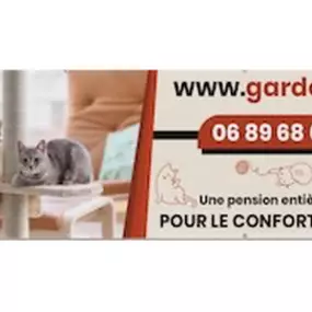 Bild von gardechat.fr - filetchat.fr