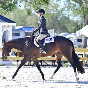 Bild von Champion Farms