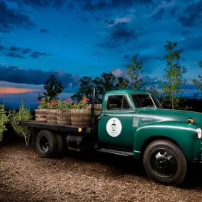 Bild von Lantern Ridge Farm Market And Nursery