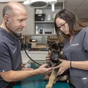 Bild von Livewell Animal Hospital of Cypress