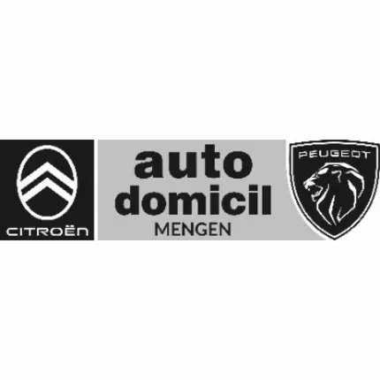 Logo von Auto Domicil Wild Mengen GmbH