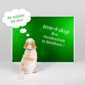 Bild von time-4-dogs