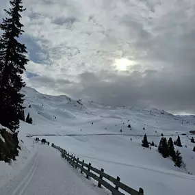 Bild von Lauer-Reisen Altenkirchen