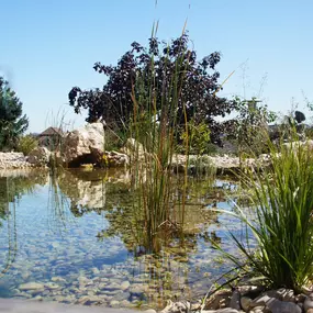 Bild von Bösiger Gartenbau AG