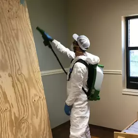 Mold remediation