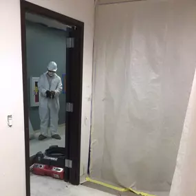 Mold remediation