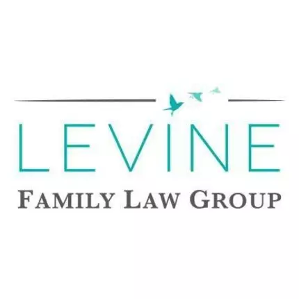 Logo fra Levine Family Law Group