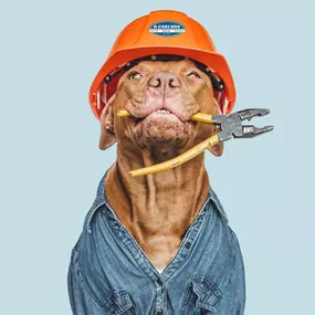 A dog holding pliers and wearing a B. Carlson Heating, Cooling & Plumbing, Inc. hard hat