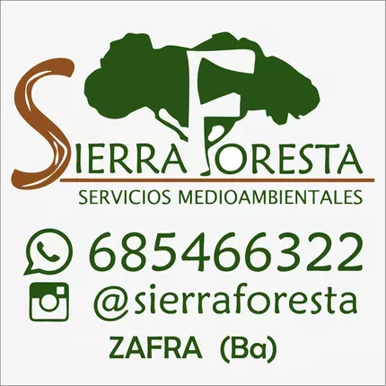 Logo da Pakito Sierra - Sierra Foresta