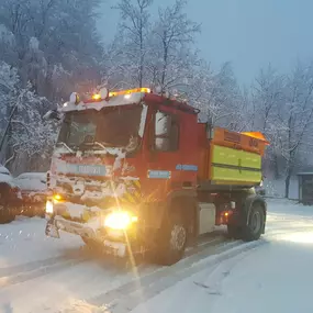 Bild von Besomi Trasporti SA