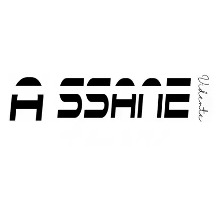 Logo van Maestro Assane Vidente