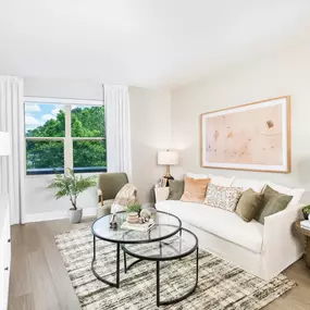 Bild von Modera Falls Church