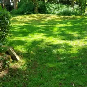 Bild von Paul And Son Get It Done