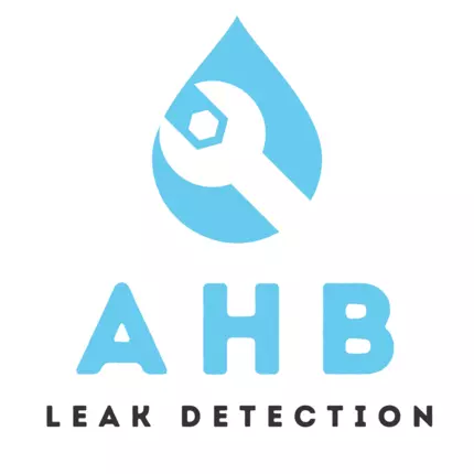 Logotyp från AHB Leak Detection