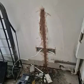 Bild von Xeni Electrical Ltd