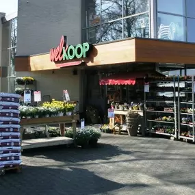 Vriezenveen Welkoop NF