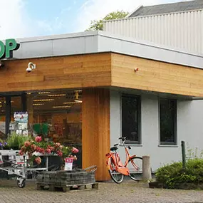 Marum (Gr.) Welkoop NF