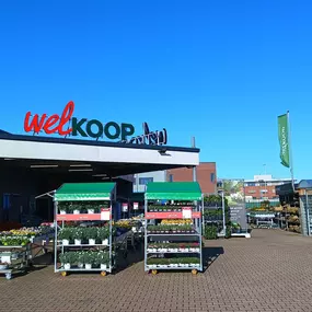 Elst(Gld) Welkoop