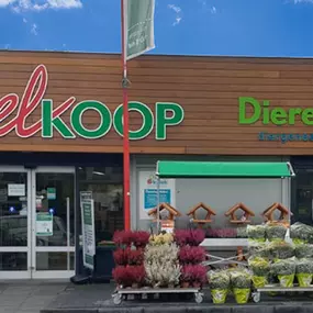 Houten Welkoop NIEUW