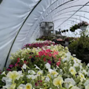 Bild von Veronica's Gardens Stone Ridge Nursery